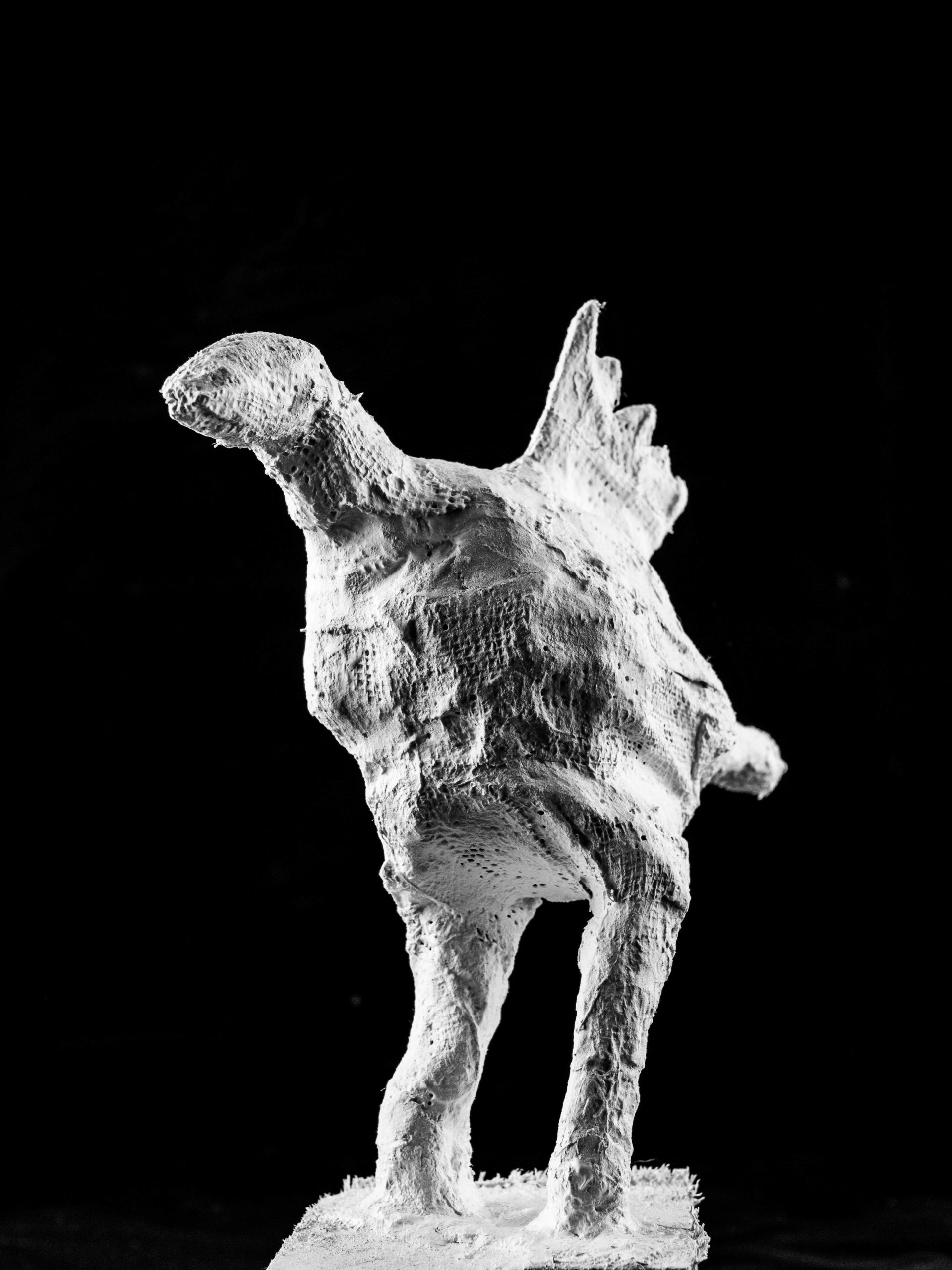 sculp selec 17